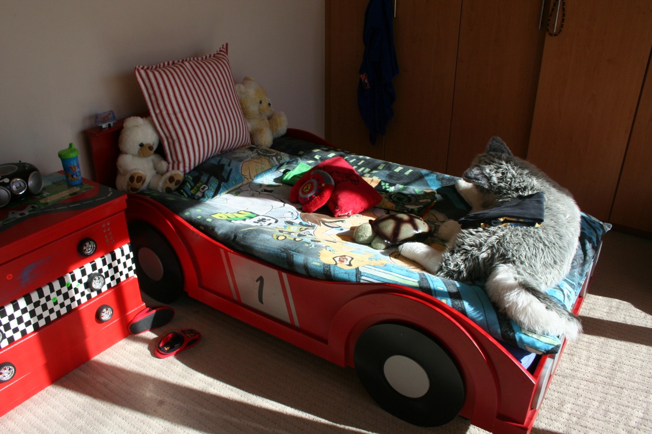 Car-bed-slideout-spare-bed slideout-drawers-under-bed
